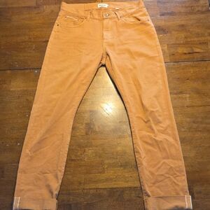 Taylor Stitch Slim Fit Tan Pants